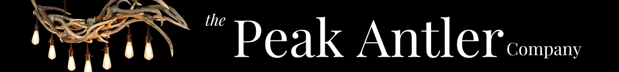 WAA-PAC-Website_Banner