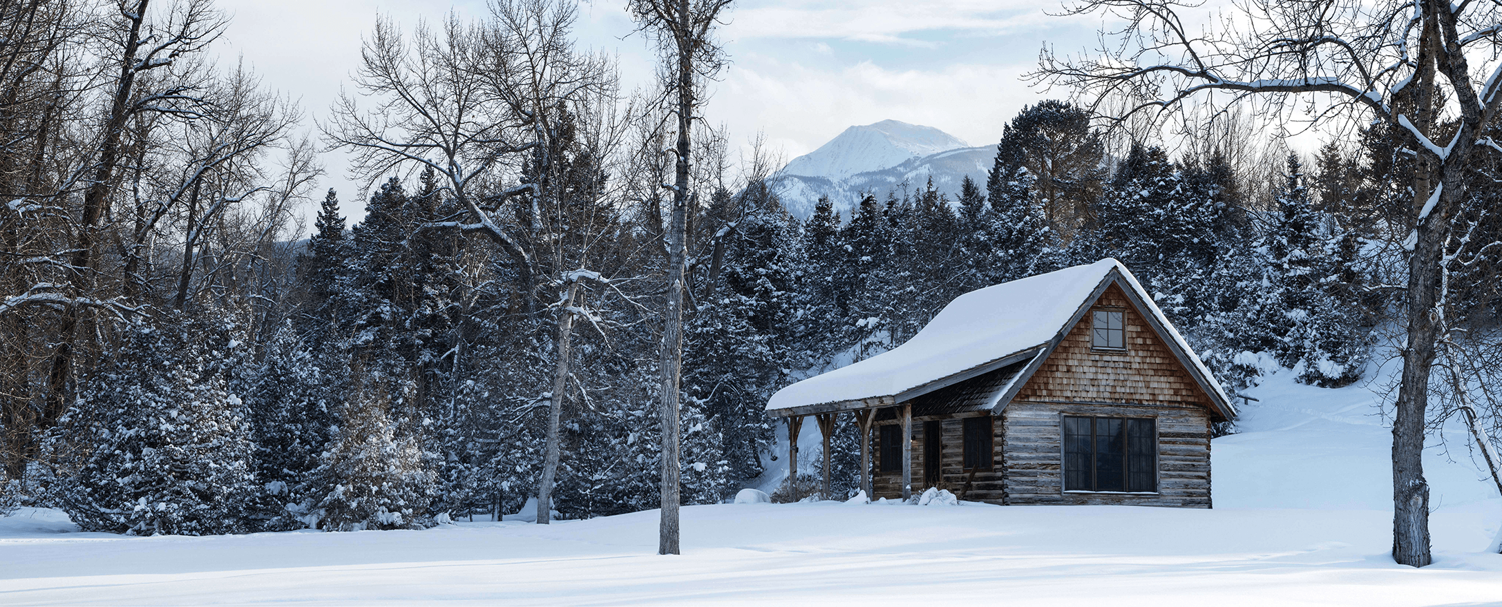 Quiet Moments in a Wild Setting