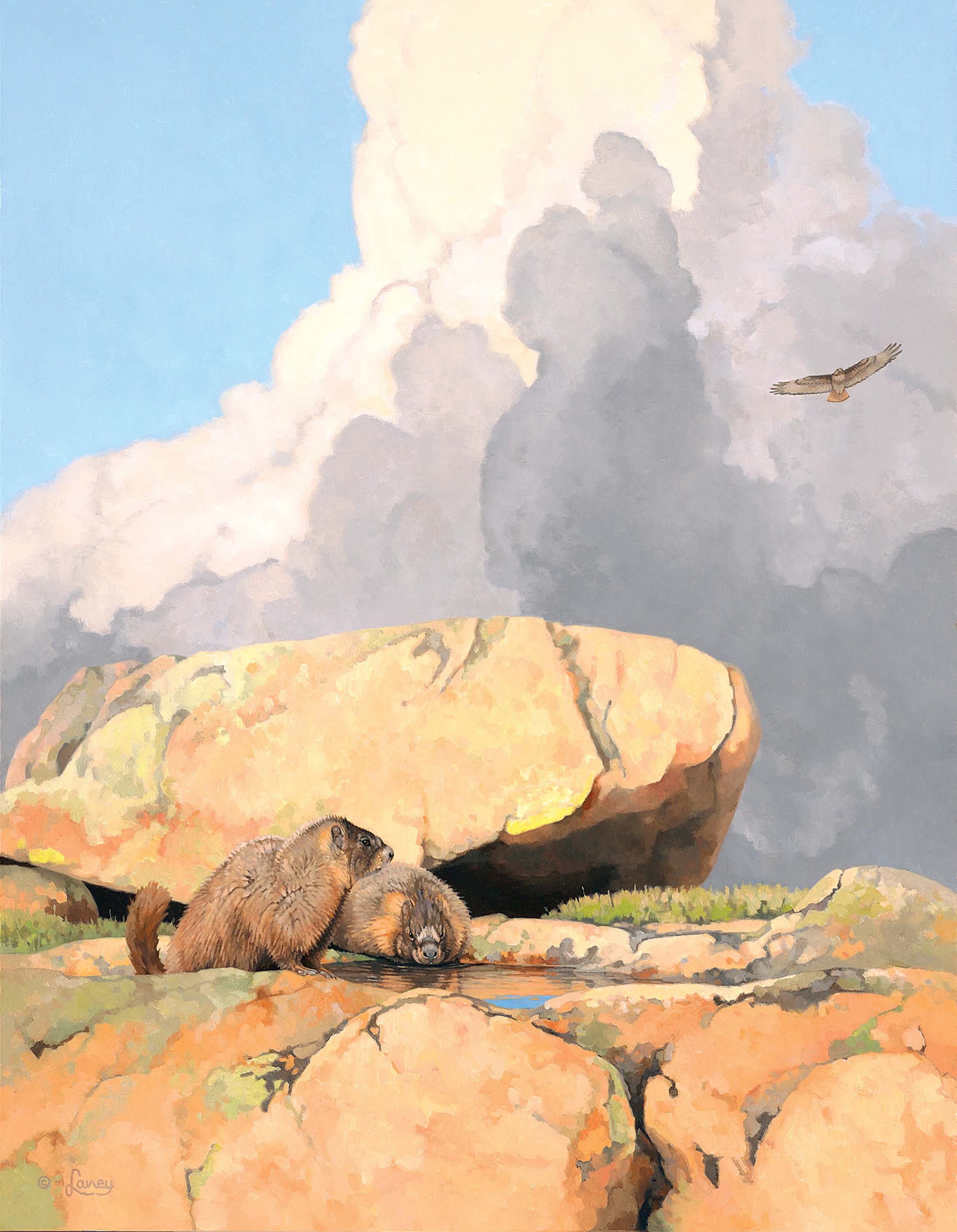 The Intersection of Art and Nature: The Beauty of Painting Rocks